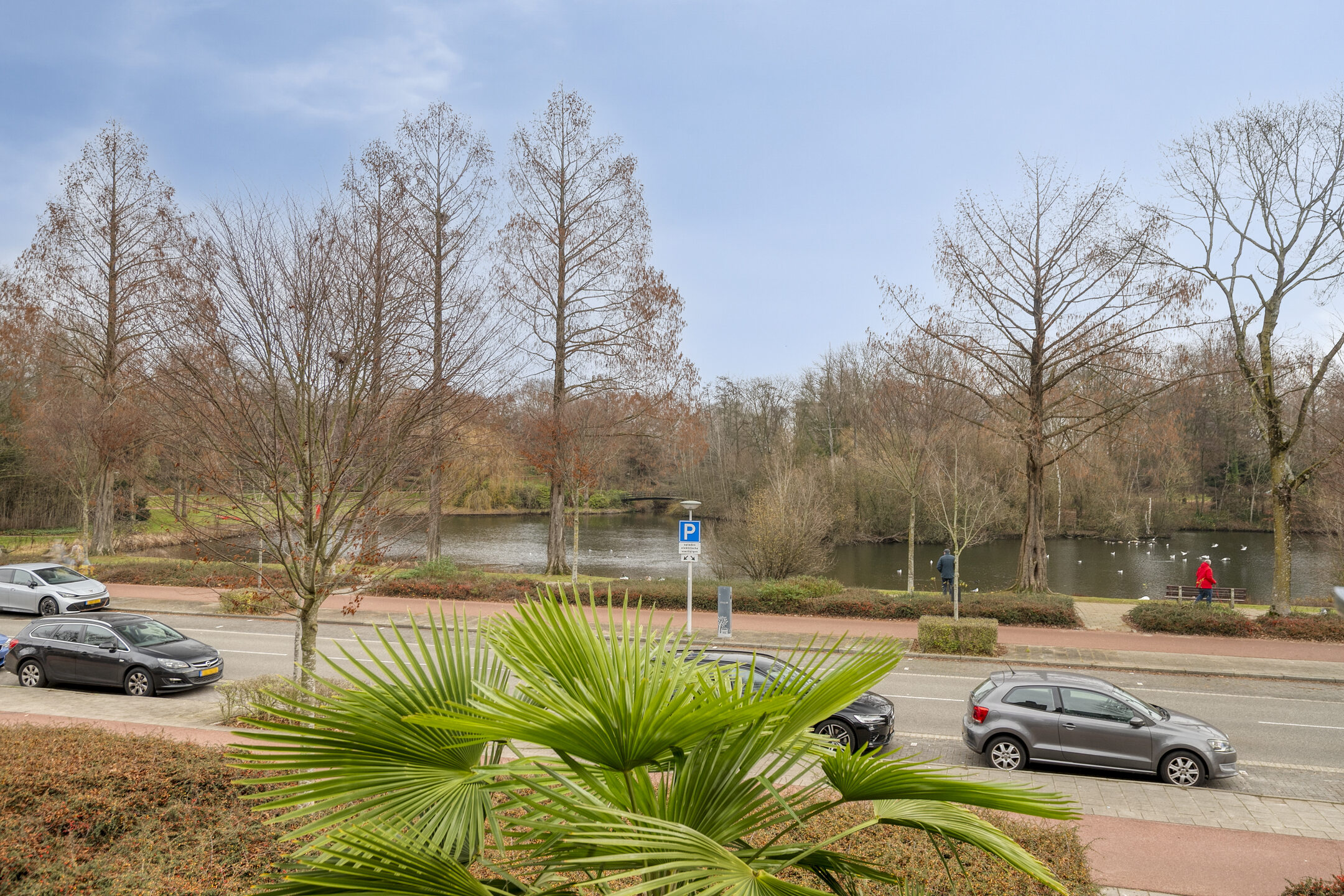 Eindhoven – Rode Kruislaan 99